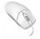 Mouse Click